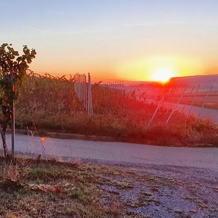 Weingut Will Und Wuerz Lemberger Appartement Schwaigern Buitenkant foto