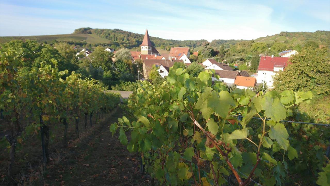 Weingut Will Und Wuerz Lemberger Appartement Schwaigern Buitenkant foto